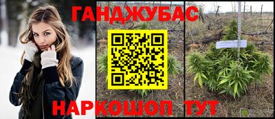 эйфоретик Кимры