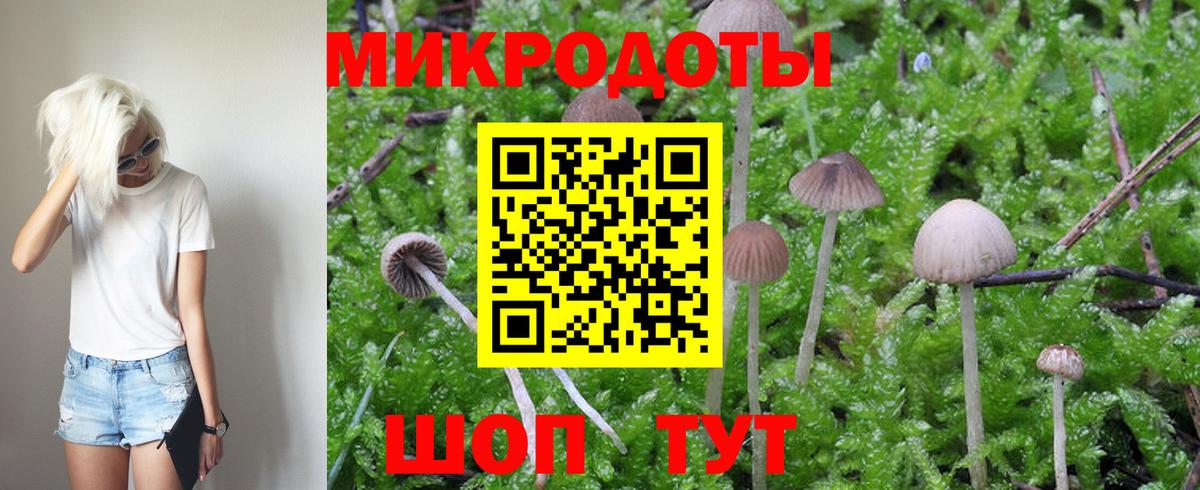 как найти   Вход с VPN  Людиново  Псилоцибиновые грибы Cubensis  Галлюциногенные грибы мицелий 